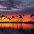 Onlyfans leak allday808 

 profile picture