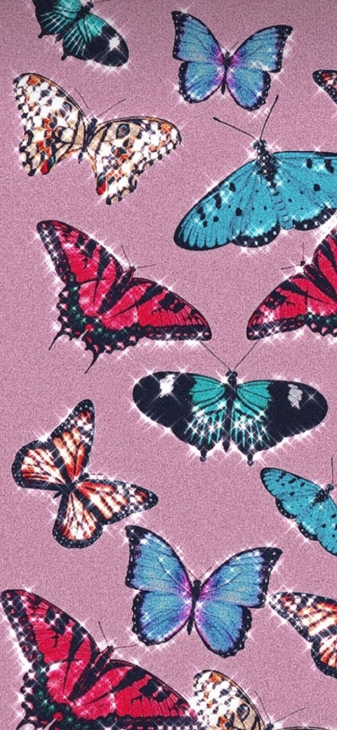 Header of allie_rae