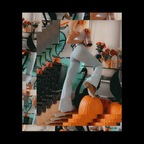 alwaysinseason OnlyFans Leak 

 profile picture