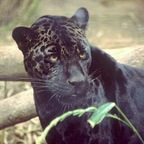 andre (Andre) Only Fans Leaks [NEW] profile picture