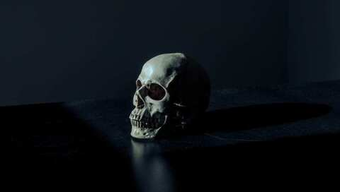 Header of angelofdeathxx