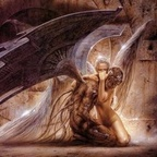 angeluss (Angeluss) OnlyFans Leaks 

 profile picture