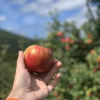 anonymoustoptx OnlyFans Leaked Photos and Videos 

 profile picture