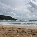 application (Josh) free OnlyFans Leaked Pictures and Videos 

 profile picture