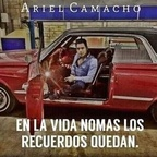 ariel_avm (Ariel Avm) OnlyFans Leaked Content 

 profile picture