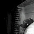 Download baked OnlyFans videos and photos for free 

 profile picture