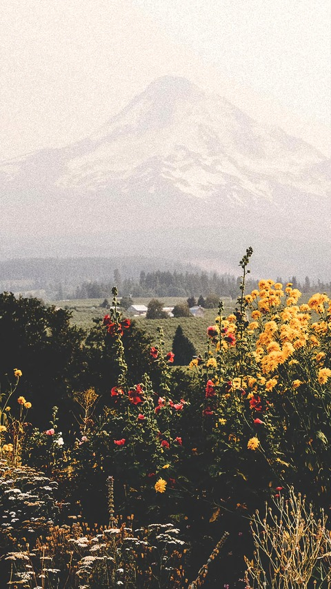 Header of bbyalynne