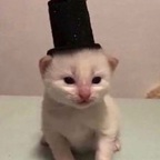 Onlyfans leak beltanebitch 

 profile picture