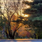 bighoss63 (Bighoss🦁) OnlyFans Leaks [FRESH] profile picture