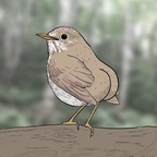 birdie-boo OnlyFans Leak 

 profile picture