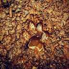 bitingthedust3 (🍑🥕🎡🎟⛄) OnlyFans Leaked Content 

 profile picture