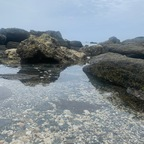 Download black_pepper23 OnlyFans content for free 

 profile picture