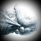 Download blauelagune OnlyFans content for free 

 profile picture