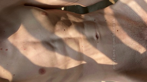 Header of blaze1kfree