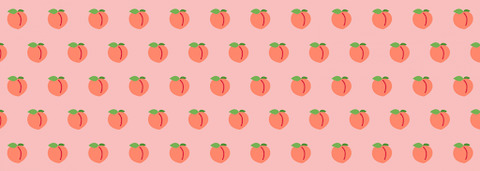 Header of bootybear