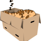 Free access to boxgirl Leaked OnlyFans 

 profile picture