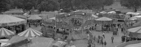 Header of britishwildlifecam