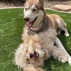 Free access to @britnikitten Leak OnlyFans 

 profile picture