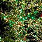 Download brokengrl765 OnlyFans videos and photos for free 

 profile picture