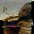 Onlyfans leaked bubblegrunge 

 profile picture