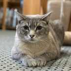 Download bubu91 OnlyFans content for free 

 profile picture