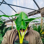 bukets (Buckets) OnlyFans Leaked Videos and Pictures 

 profile picture