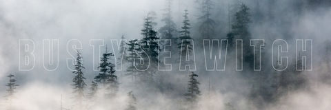 Header of bustyseawitch