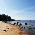 candice OnlyFans Leak 

 profile picture