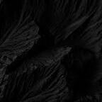 Onlyfans leaks cat_damage 

 profile picture