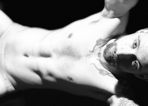 Header of celicamonster