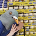 Free access to (chadpigeoncock) Leaked OnlyFans 

 profile picture