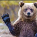 chubbyguy8989 OnlyFans Leak 

 profile picture