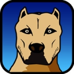 Download citebeur OnlyFans videos and photos for free 

 profile picture