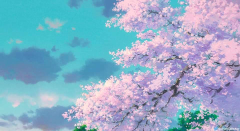 Header of claire.silversfree