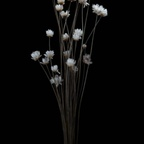 Free access to (@codiryann1207) Leaked OnlyFans 

 profile picture