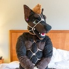daddydober (Daddy Dober ฅ^•ﻌ•^ฅ) free OF Leaked Content [!NEW!] profile picture