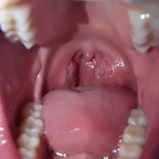 dana.the.lady.vore (Dana The Lady Vore) OnlyFans content [FRESH] profile picture