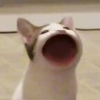Onlyfans leaked dash_17 

 profile picture