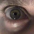 davidisgoliath OnlyFans Leaked Photos and Videos 

 profile picture