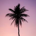 dawny.love.0 (D) OF content [NEW] profile picture