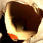 Onlyfans leaked deuterusadtumulum 

 profile picture