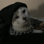 dickchcolate (DickChocolate) OnlyFans Leaked Pictures and Videos 

 profile picture