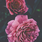 dj1426 (DJ) Only Fans Leaked Pictures & Videos [FREE] profile picture