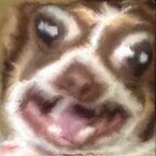 Onlyfans leak dreggmann 

 profile picture