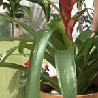 ds6789 (ThePlantFam) free OnlyFans Leaked Pictures & Videos 

 profile picture