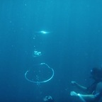 dshow82 OnlyFans Leaks 

 profile picture