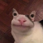 emelyyy (@emelyxo) Leak OnlyFans 

 profile picture