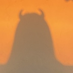 exclusiveleobaby OnlyFans Leaked 

 profile picture