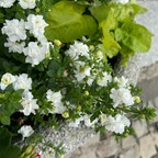 Fagataaa fagataaa Leaks OnlyFans 

 profile picture