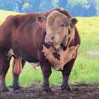 Free access to (@farmer) Leaks OnlyFans 

 profile picture